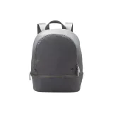 Rhinoceros Gray