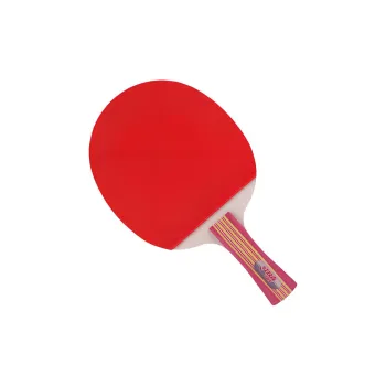 DHS Ping Pong Paddles