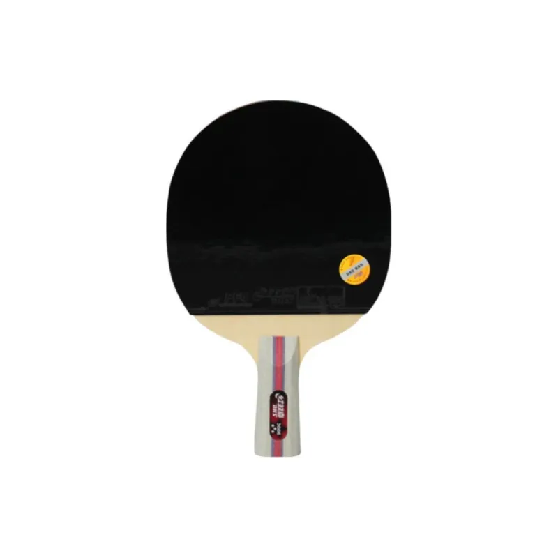 DHS Ping Pong Paddles-10