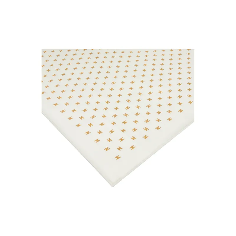 CELINE Square In Triomphe Silk Twill-2