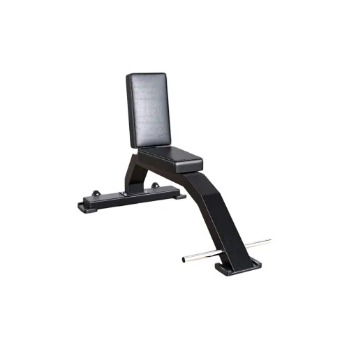 Ph.D. Research Dumbbell Benches Unisex