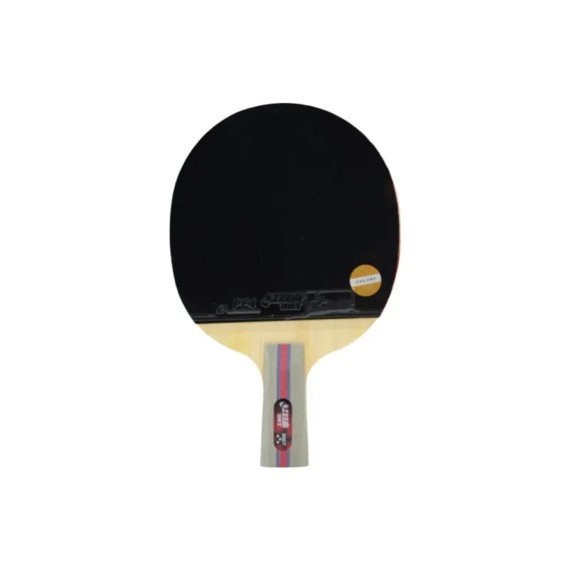 DHS Ping Pong Paddles-7