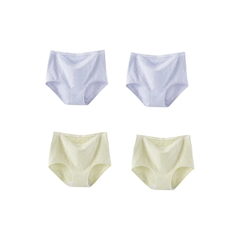 Flowers In Water Underpants Women's-15