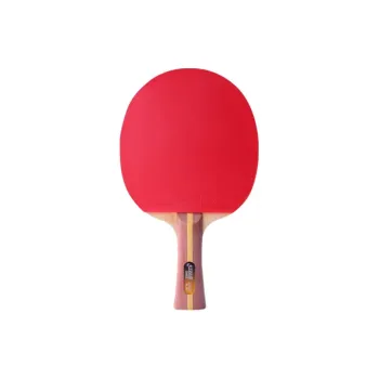 DHS Ping Pong Paddles