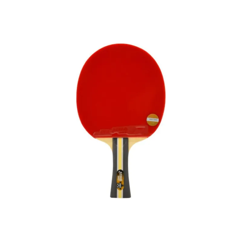 DHS Ping Pong Paddles-4