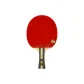 T3002 Shakehand Grip Long Handle/Double-Sided Inverted Rubber, Includes Blue Racket Cover+6 Pcs Table Tennis Balls