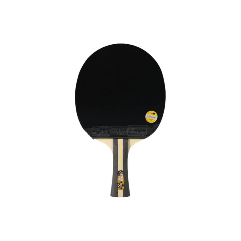 DHS Ping Pong Paddles-8