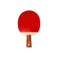 R2006 Penhold Grip Short Handle/Double-Sided Inverted Rubber, Includes Blue Racket Cover+6 Pcs Table Tennis Balls