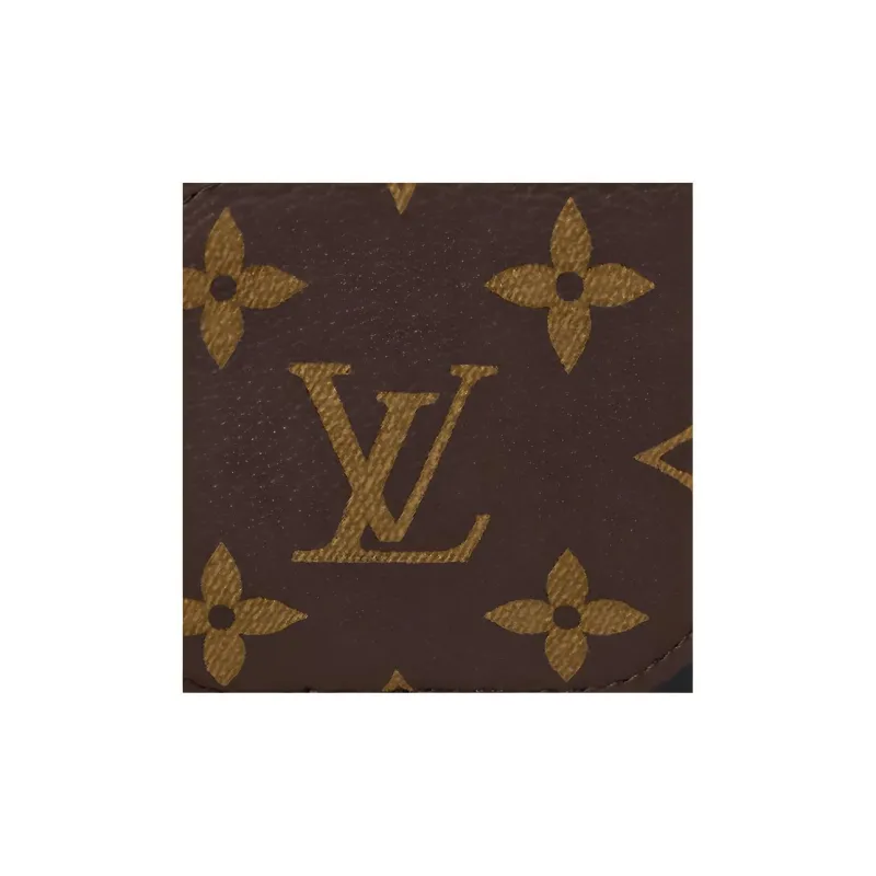 LOUIS VUITTON Monogram Canvas With Leather Eyeglass Pouch Tubas Unisex Brown-5