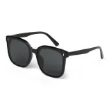 Black Frame with Black Gray Lens