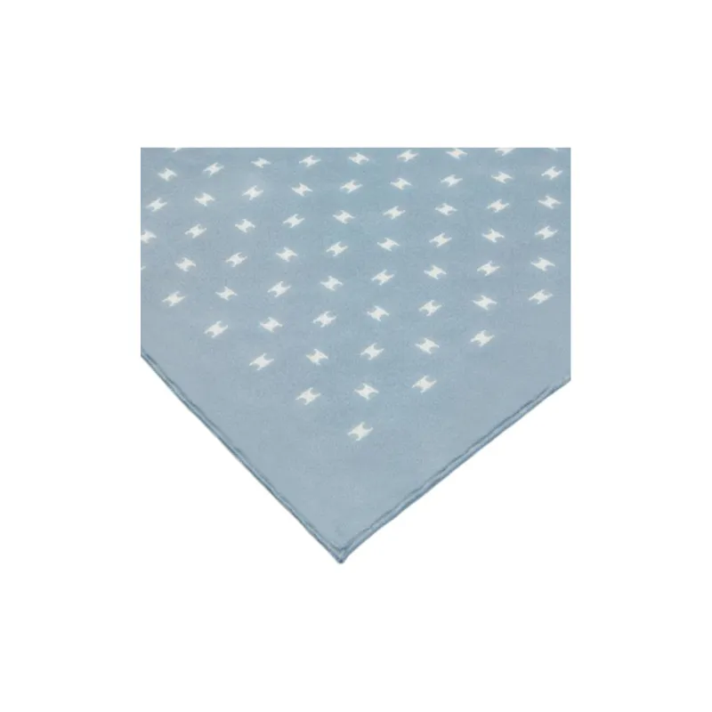 CELINE Square In Triomphe Silk Twill-2