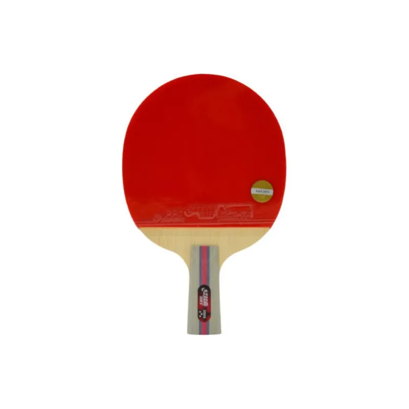 DHS Ping Pong Paddles-5