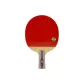 T3006 Penhold Grip Short Handle/Double-Sided Inverted Rubber, Includes Blue Racket Cover+6 Pcs Table Tennis Balls