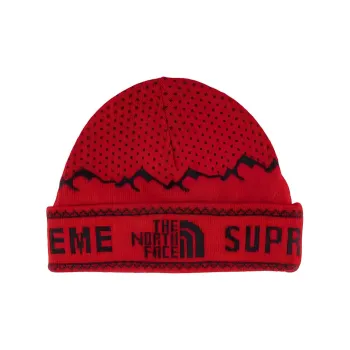 Supreme The North Face Fold Beanie