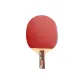 ED-2A Star Short Handle Penhold Grip[Single Racket]Ball Not Included