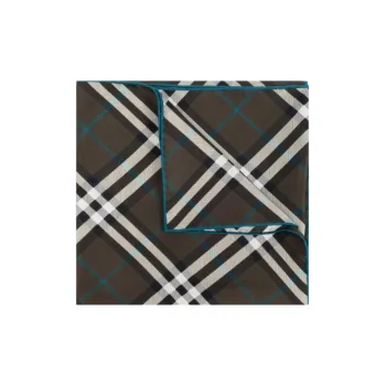 Burberry Silk Scarves Unisex Brown