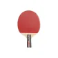 ED-4A Star Short Handle Penhold Grip[Single Racket]Ball Not Included