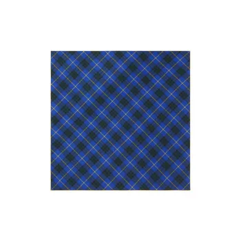 Burberry Silk Scarves Unisex Blue