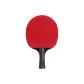 Qilin X3 Shakehand Grip Long Handle (Includes 1 Racket Bag)