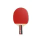 ED-5A Star Short Handle Penhold Grip[Single Racket]Ball Not Included