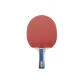 CD-1A Star Long Handle Shakehand Grip[Single Racket]Ball Not Included