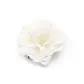 Ecru Floral Hair Clip