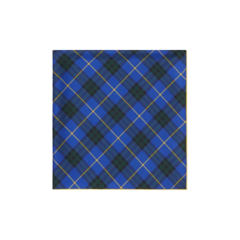 Burberry Silk Scarves Unisex Blue-1