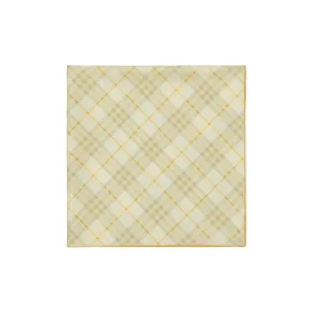 Burberry Checked Finished Edge Scarf