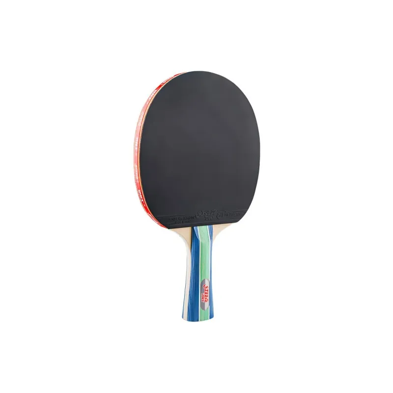 DHS Ping Pong Paddles-6