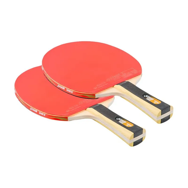 DHS Ping Pong Paddles-19