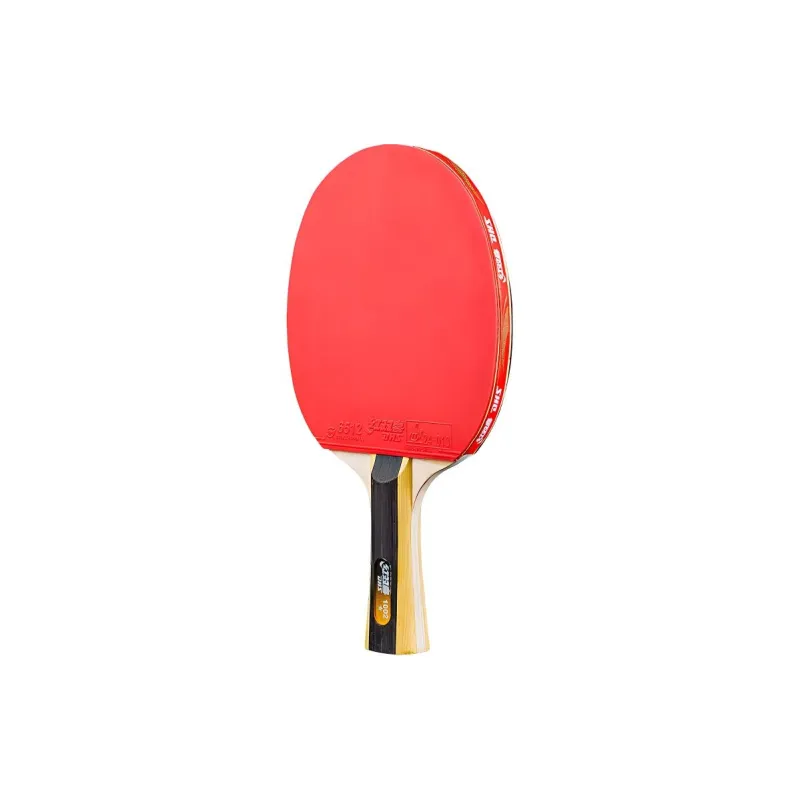 DHS Ping Pong Paddles-16
