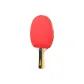 One Star Single Racket[Shakehand Grip 1 Pack]