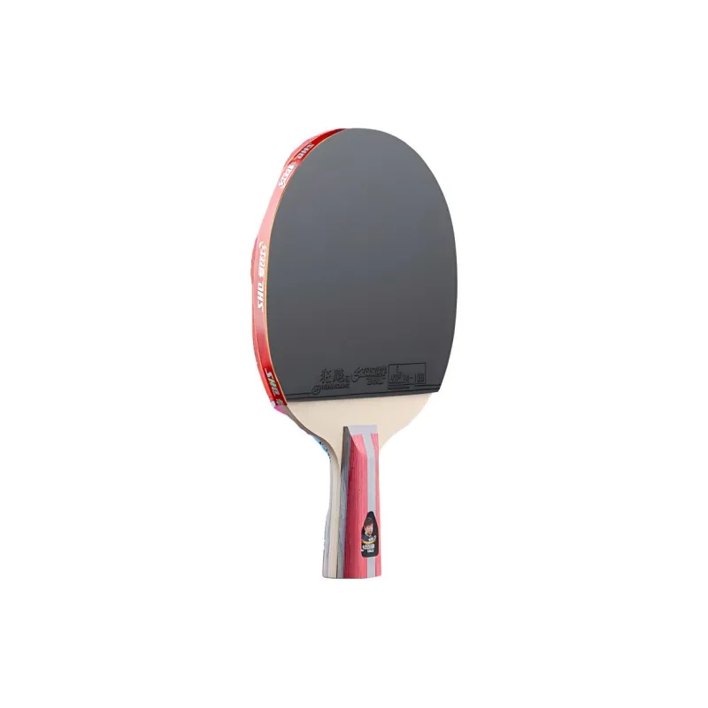 DHS Ping Pong Paddles-29