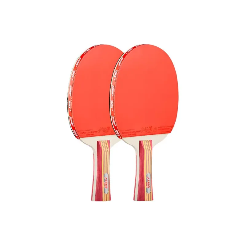 DHS Ping Pong Paddles-14