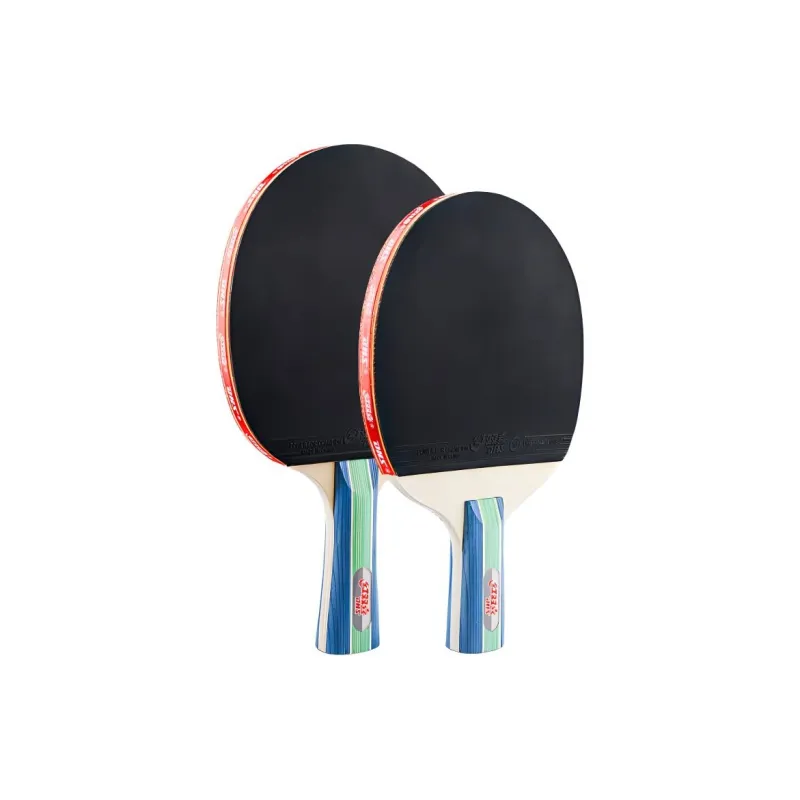 DHS Ping Pong Paddles-8