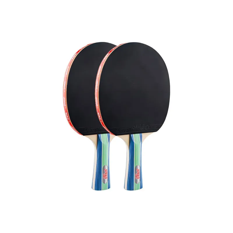 DHS Ping Pong Paddles-9