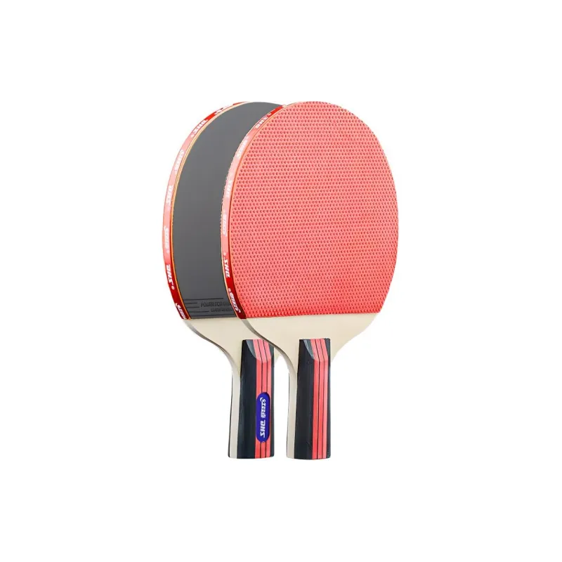 DHS Ping Pong Paddles-4