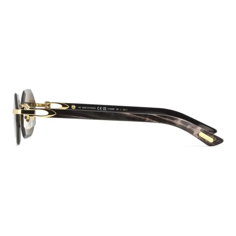 Cartier Geometric Frame Sunglasses-2