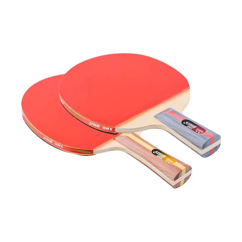 DHS Ping Pong Paddles-23