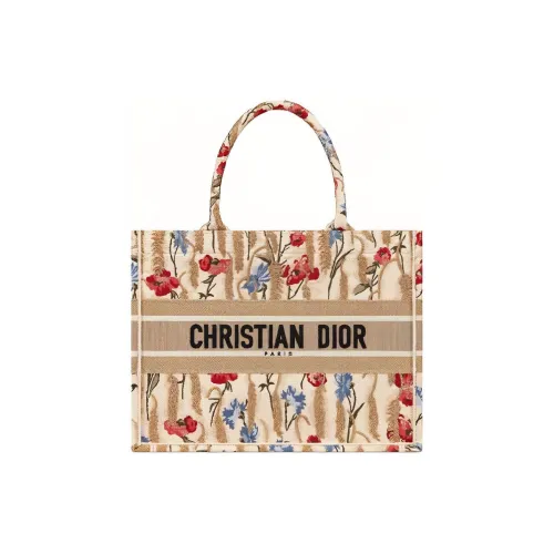 DIOR BookTote Handbags