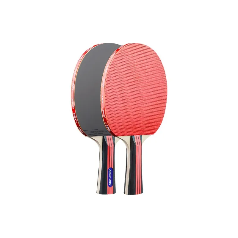 DHS Ping Pong Paddles-2