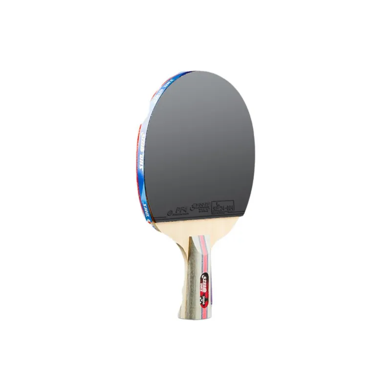DHS Ping Pong Paddles-27