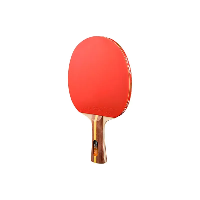 DHS Ping Pong Paddles-21