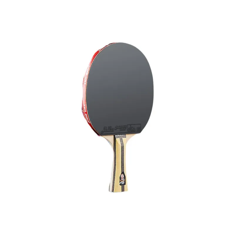 DHS Ping Pong Paddles-28