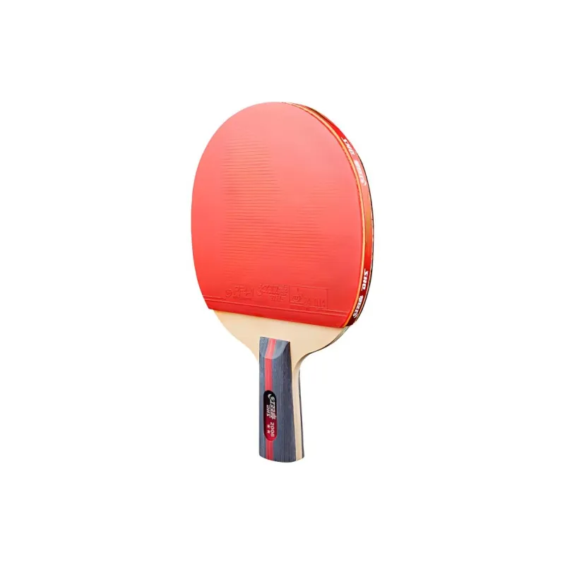 DHS Ping Pong Paddles-22