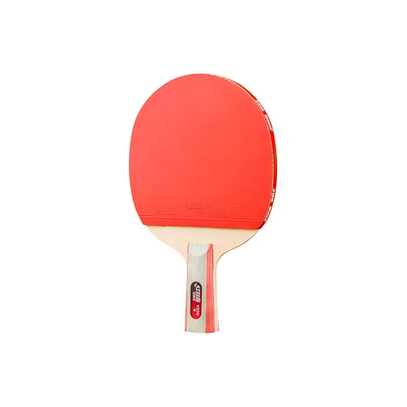 DHS Ping Pong Paddles-17