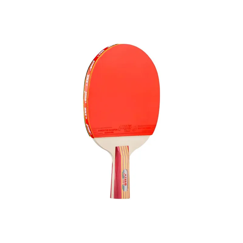 DHS Ping Pong Paddles-11
