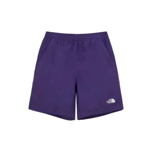 THE NORTH FACE Casual Shorts Men Purple