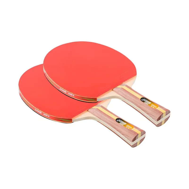 DHS Ping Pong Paddles-24