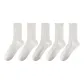 5 Pack (Stripes *2+Print *1+Small Flower *2)